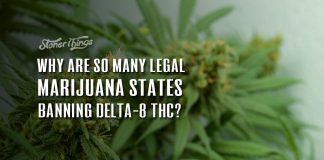 states banning delta 8 thc