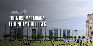 stoner colleges