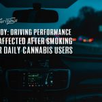 study driving performance unaffected daily cannabis users