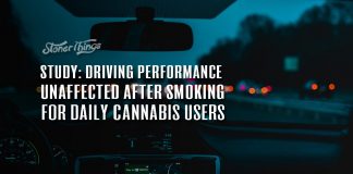 study driving performance unaffected daily cannabis users