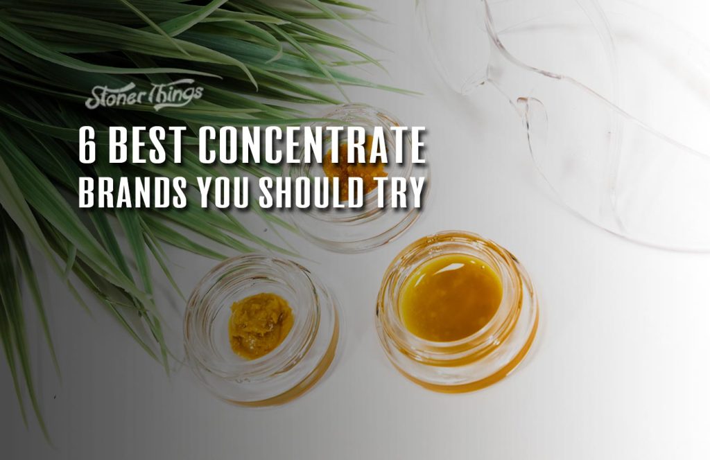 6 Best Concentrate Brands You Should Try Stoner Things