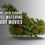 weed strains for scary movies