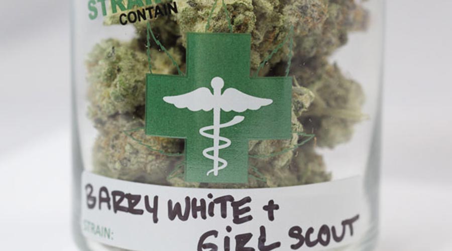Barry White x GSC Strain Review