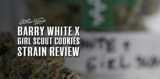 barry white girl scout cookies strain review