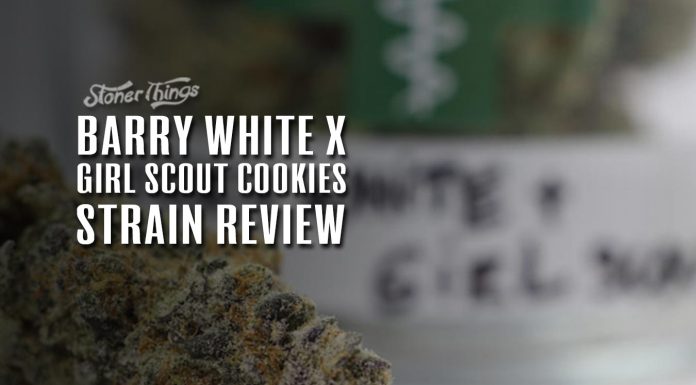 barry white girl scout cookies strain review