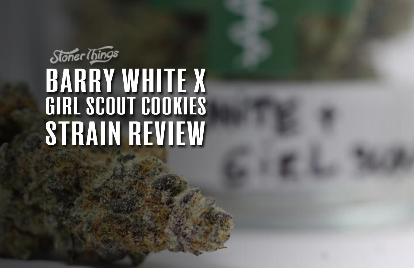barry white girl scout cookies strain review