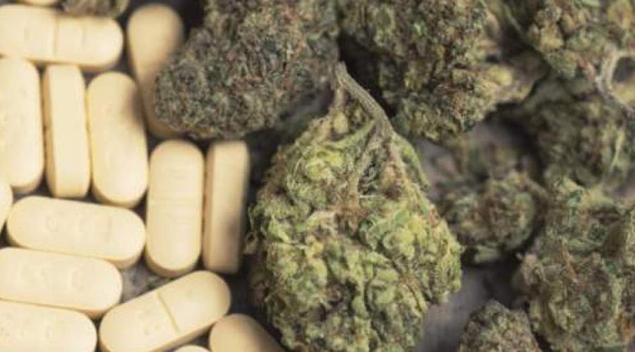 cannabis pills tablets