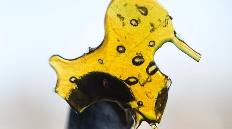 How To Make Shatter At Home - Stoner Things