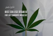 best college degrees cannabis industry