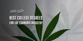 best college degrees cannabis industry