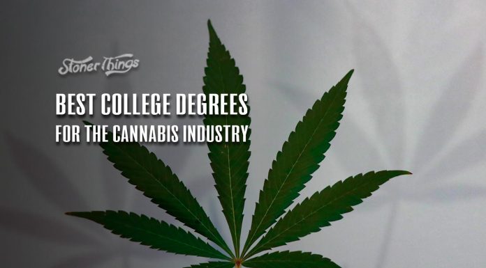 best college degrees cannabis industry