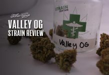 valley og strain review