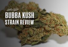 bubble kush strain review