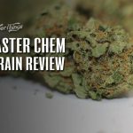 master chem review