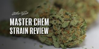 master chem review