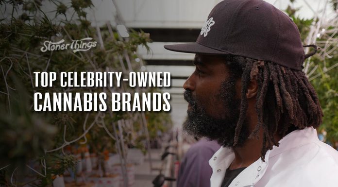 best celebrity cannabis brands
