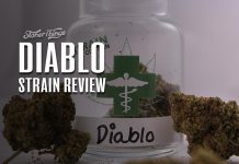 diablo strain review