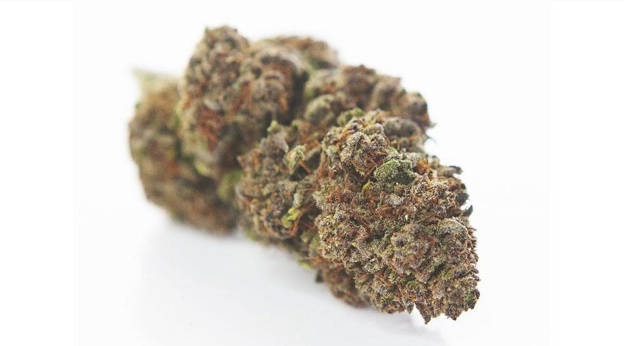 Best Sour Weed Strains