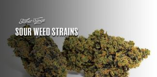 Sour weed strain