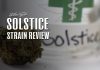 solstice review