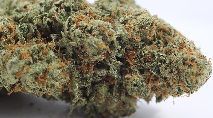 candy kush review