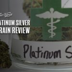 platinum silver strain