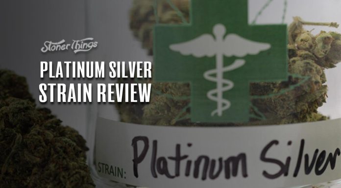 platinum silver strain