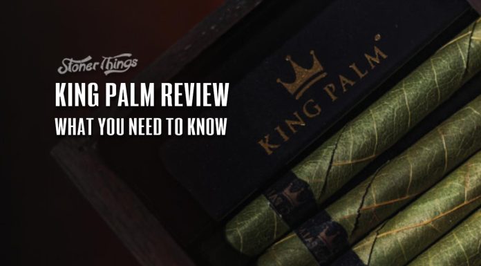 king palm review