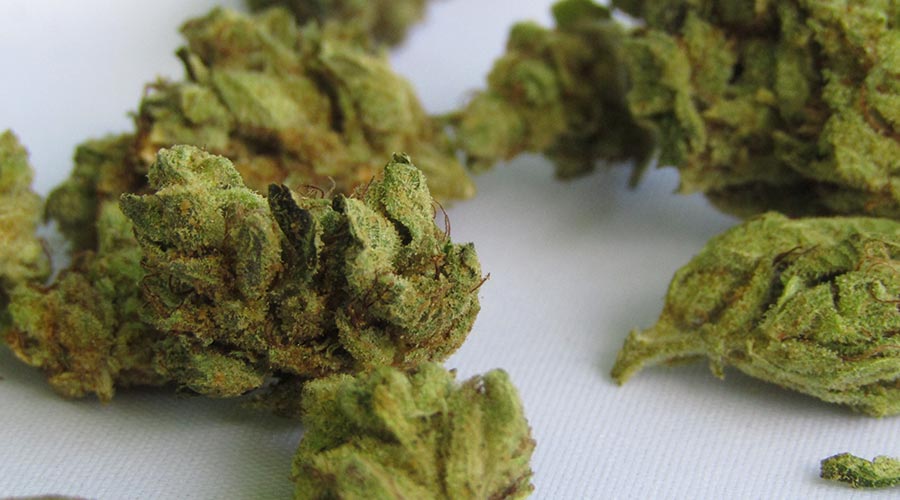 medical vs recreational marijuana