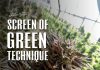 screen of green scrog technique cultivation